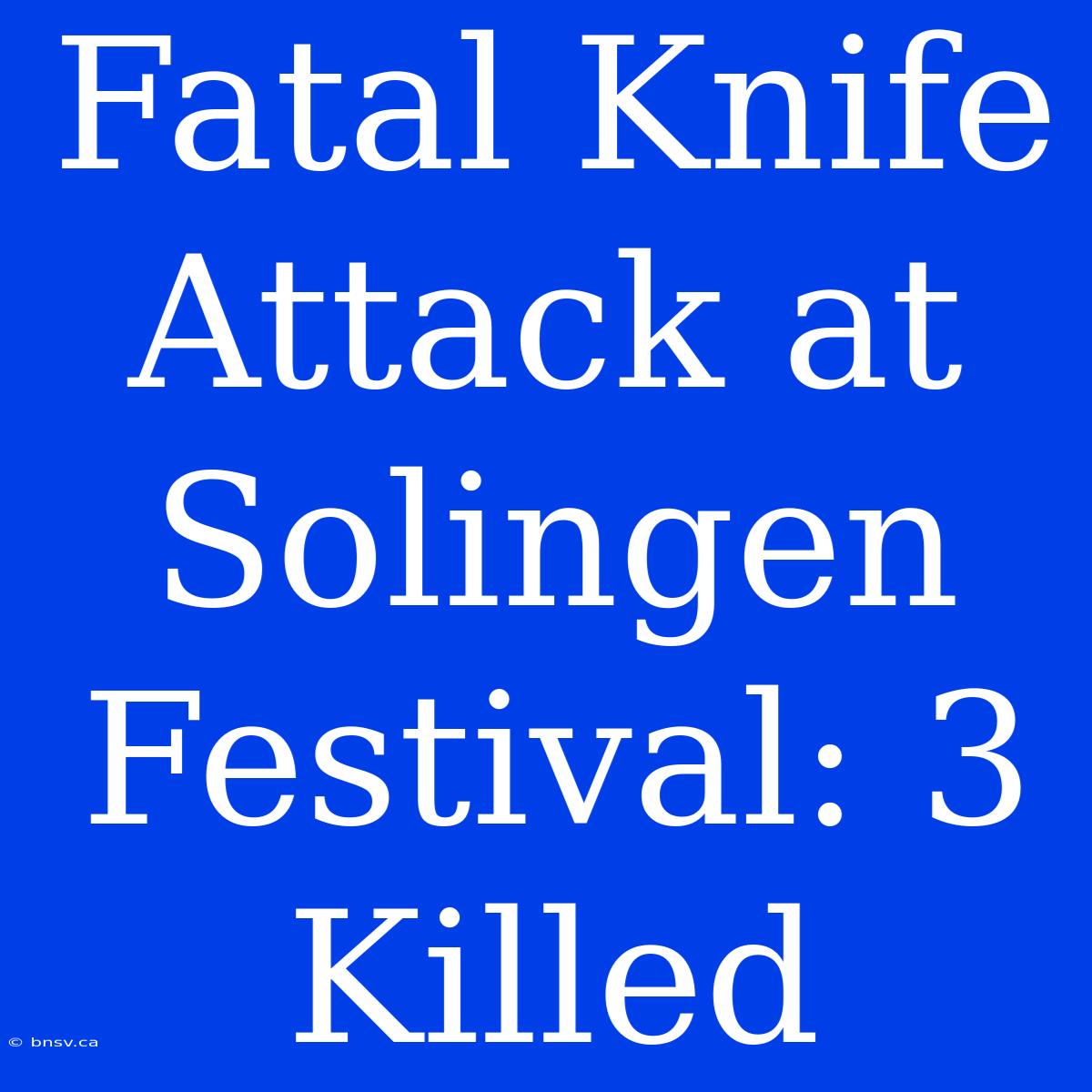 Fatal Knife Attack At Solingen Festival: 3 Killed