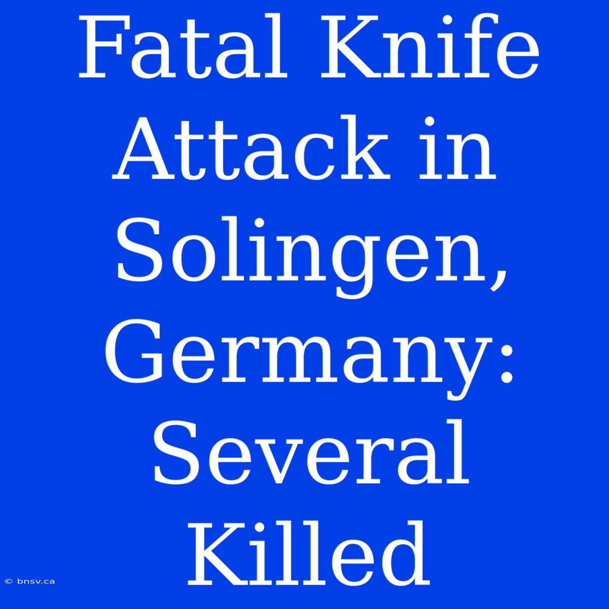 Fatal Knife Attack In Solingen, Germany: Several Killed