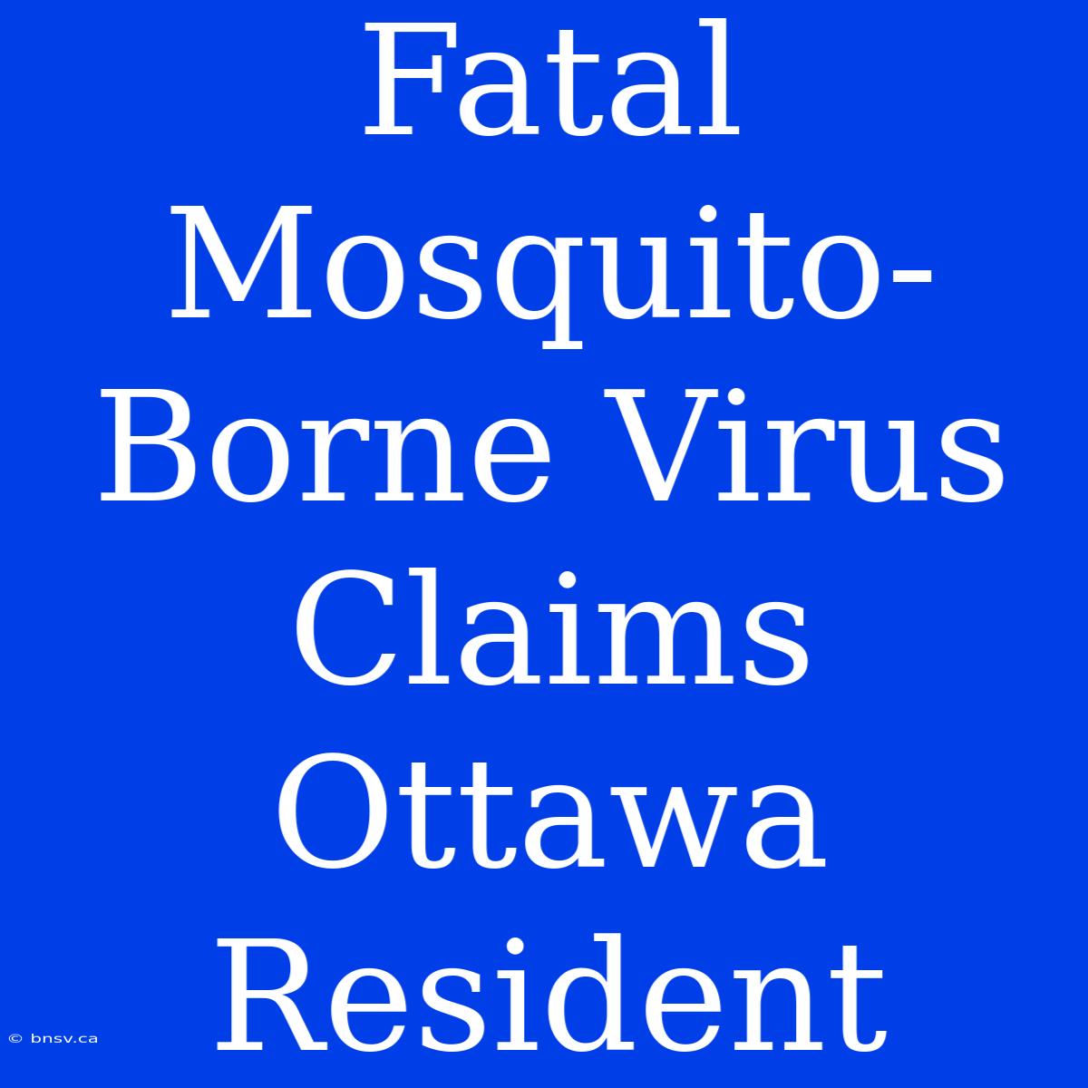 Fatal Mosquito-Borne Virus Claims Ottawa Resident