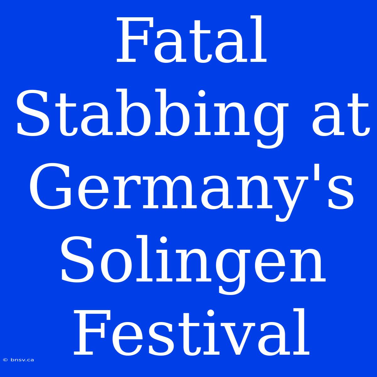 Fatal Stabbing At Germany's Solingen Festival