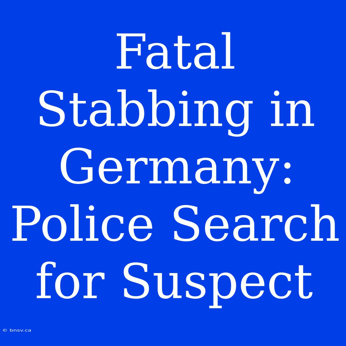 Fatal Stabbing In Germany: Police Search For Suspect