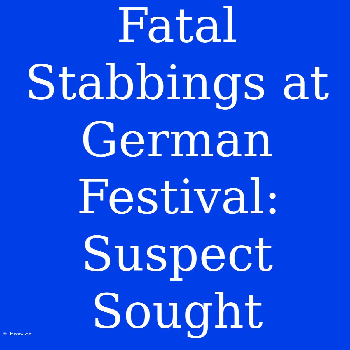 Fatal Stabbings At German Festival: Suspect Sought