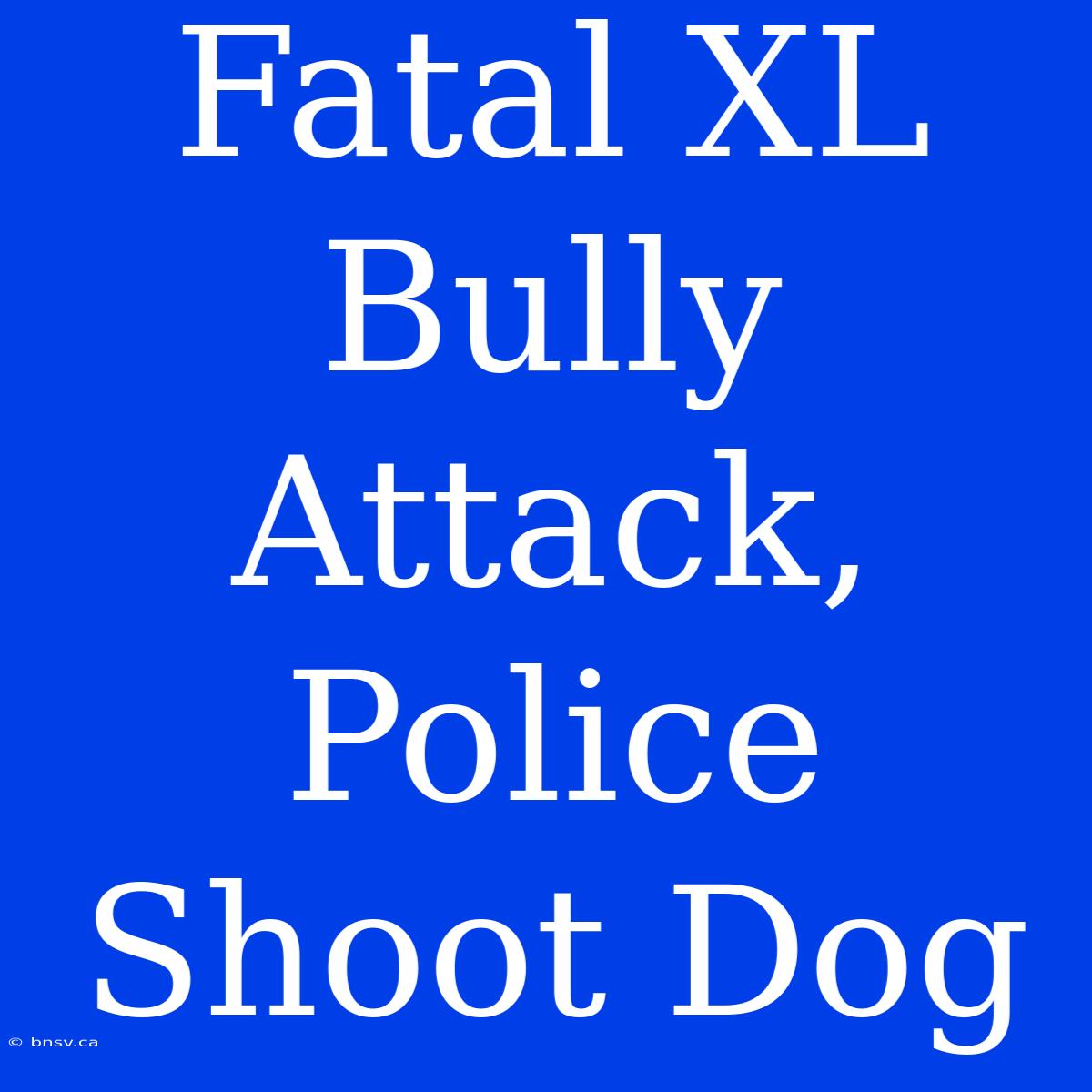 Fatal XL Bully Attack, Police Shoot Dog