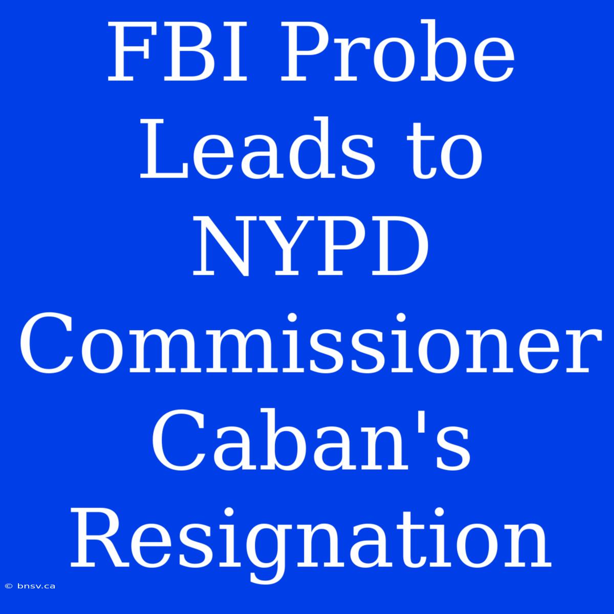 FBI Probe Leads To NYPD Commissioner Caban's Resignation