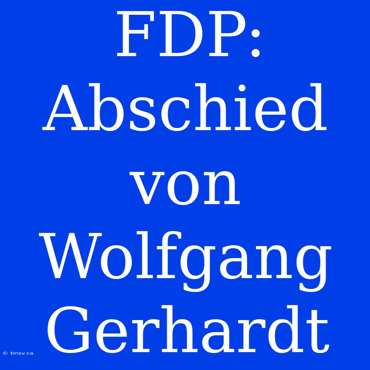 FDP: Abschied Von Wolfgang Gerhardt