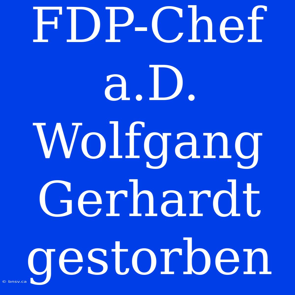 FDP-Chef A.D. Wolfgang Gerhardt Gestorben