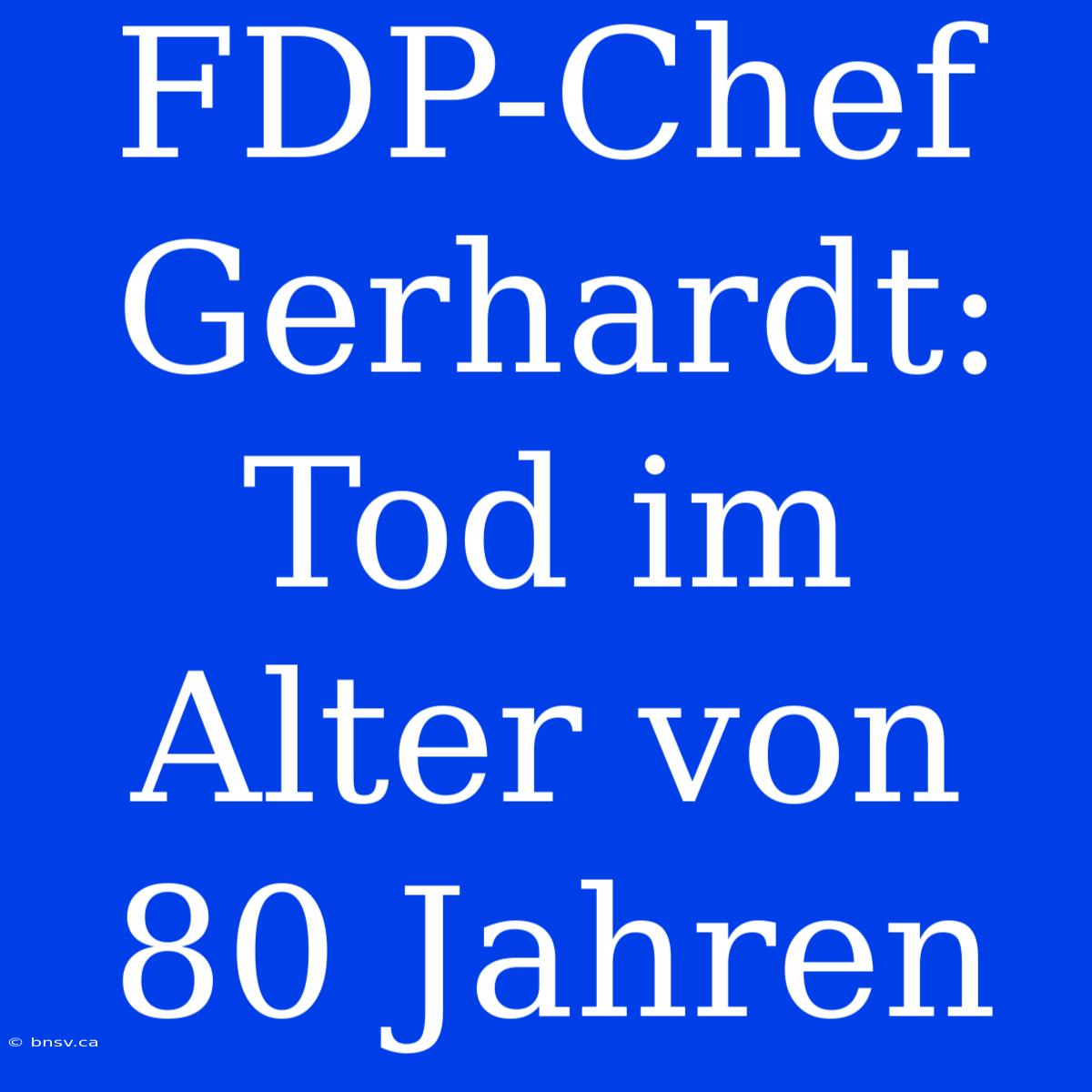 FDP-Chef Gerhardt: Tod Im Alter Von 80 Jahren