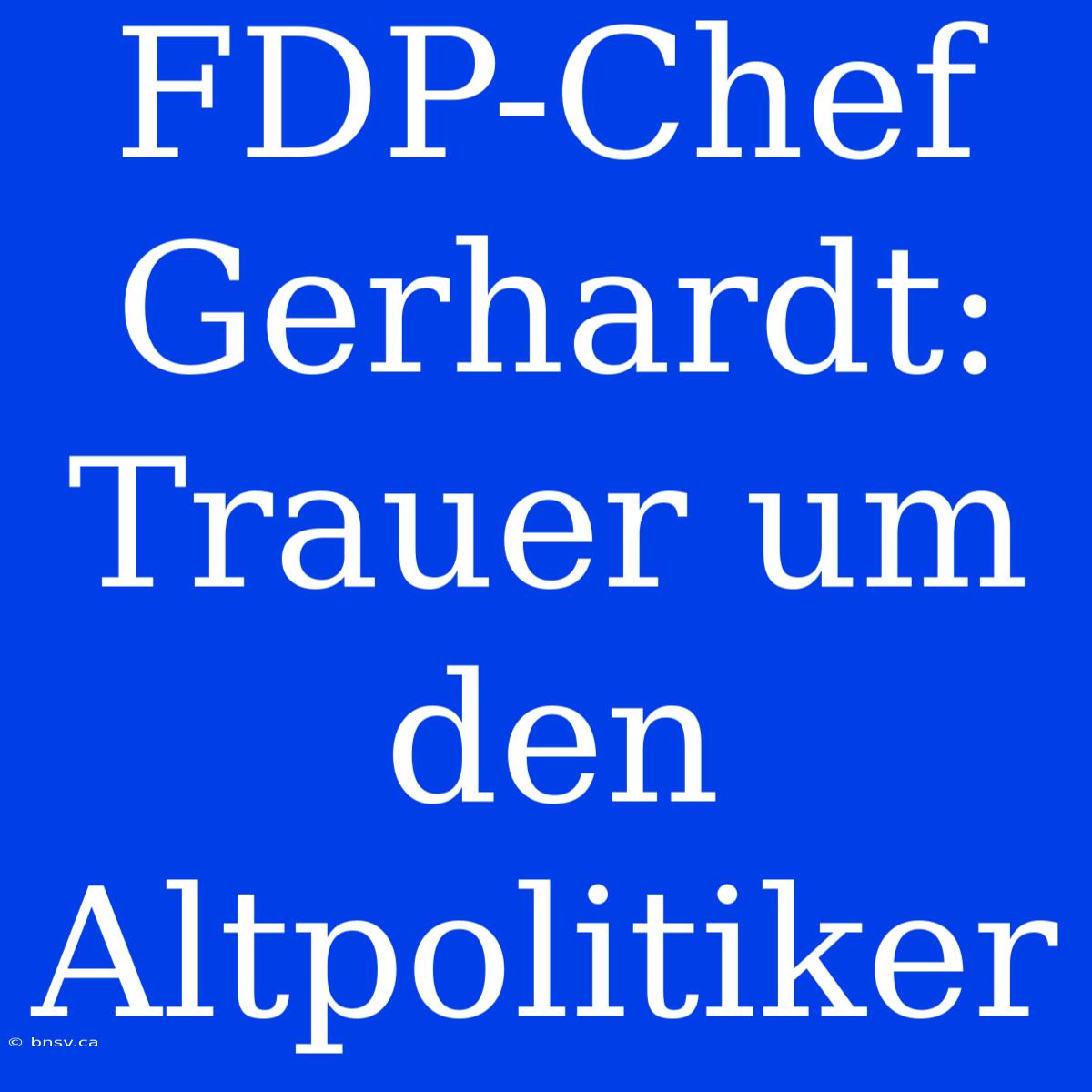 FDP-Chef Gerhardt: Trauer Um Den Altpolitiker