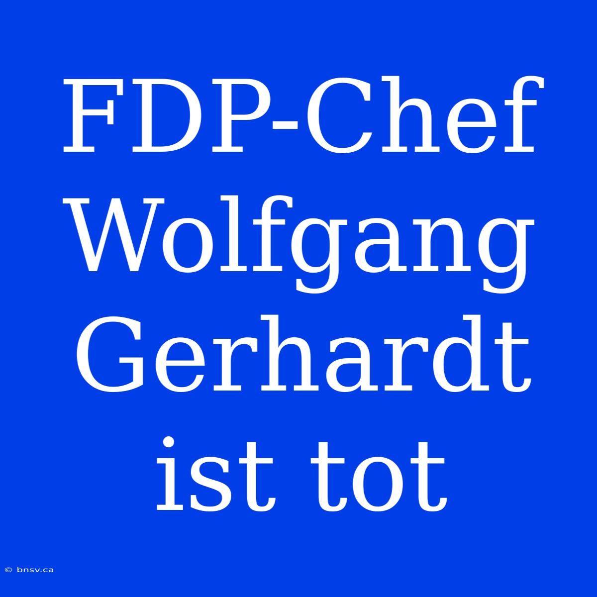 FDP-Chef Wolfgang Gerhardt Ist Tot