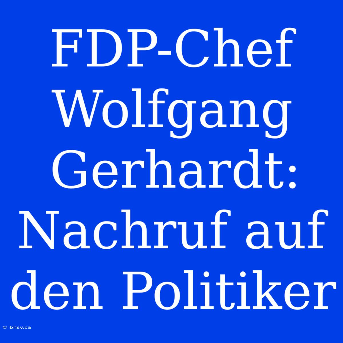 FDP-Chef Wolfgang Gerhardt: Nachruf Auf Den Politiker