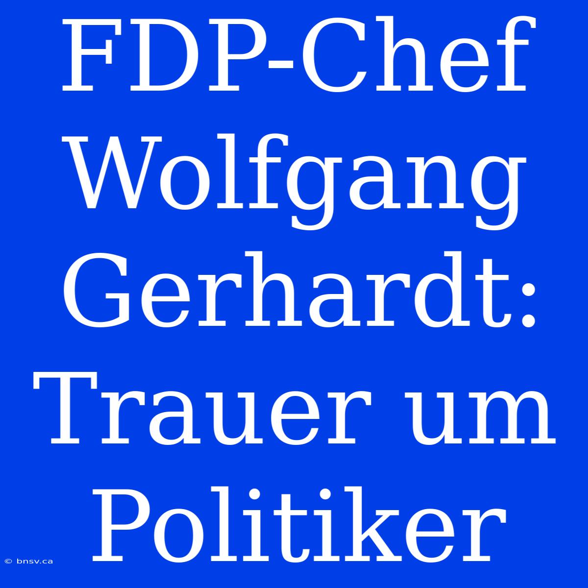 FDP-Chef Wolfgang Gerhardt: Trauer Um Politiker