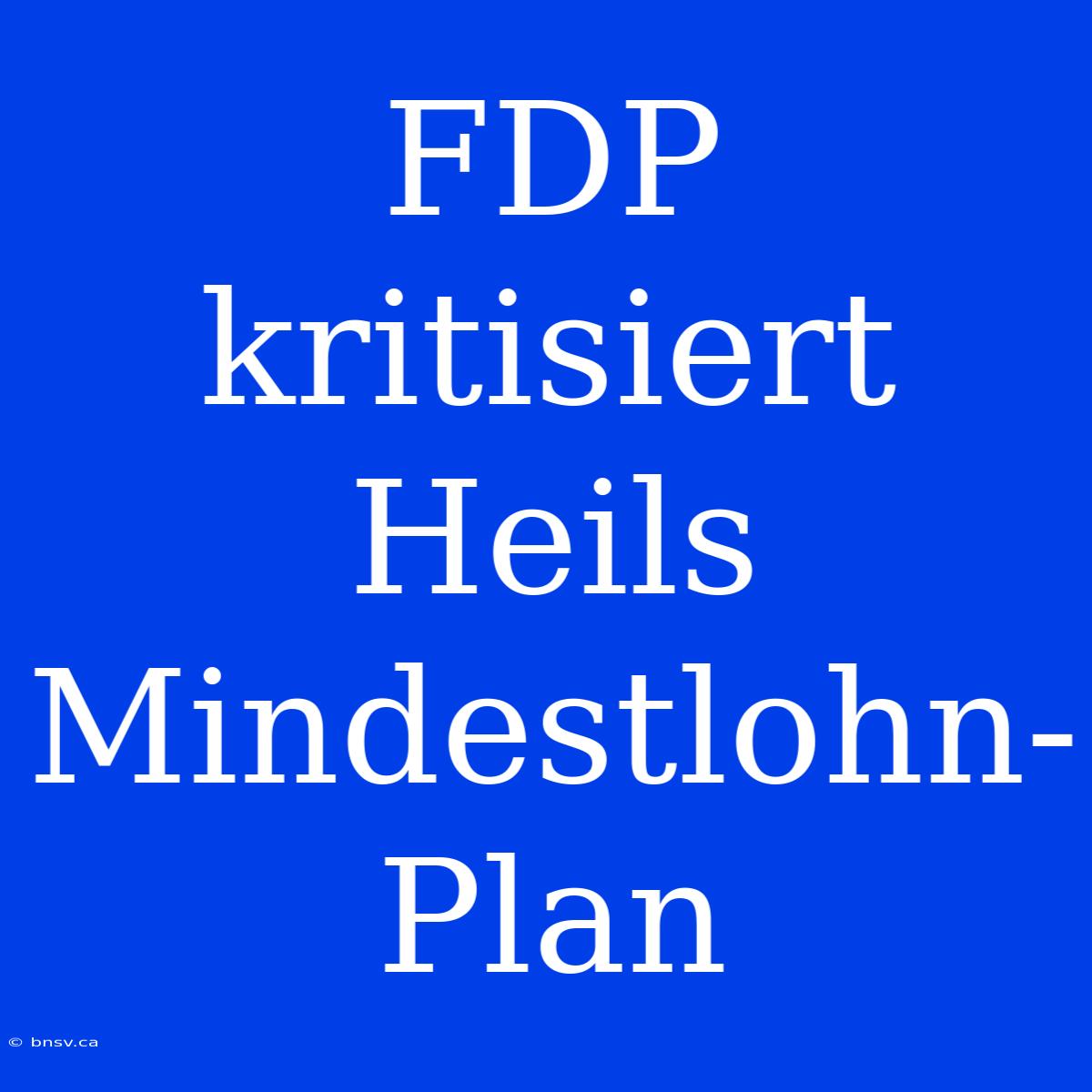 FDP Kritisiert Heils Mindestlohn-Plan