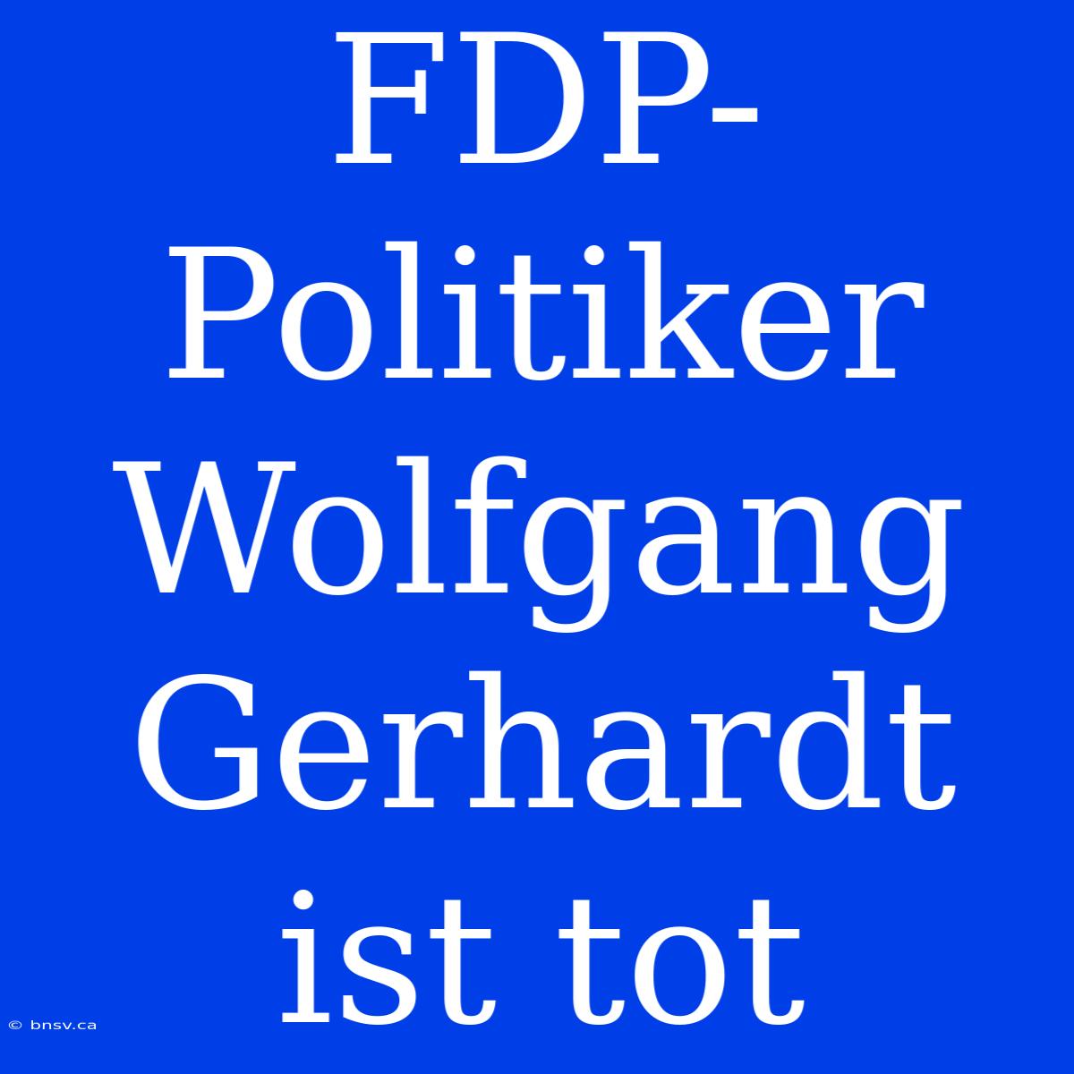 FDP-Politiker Wolfgang Gerhardt Ist Tot