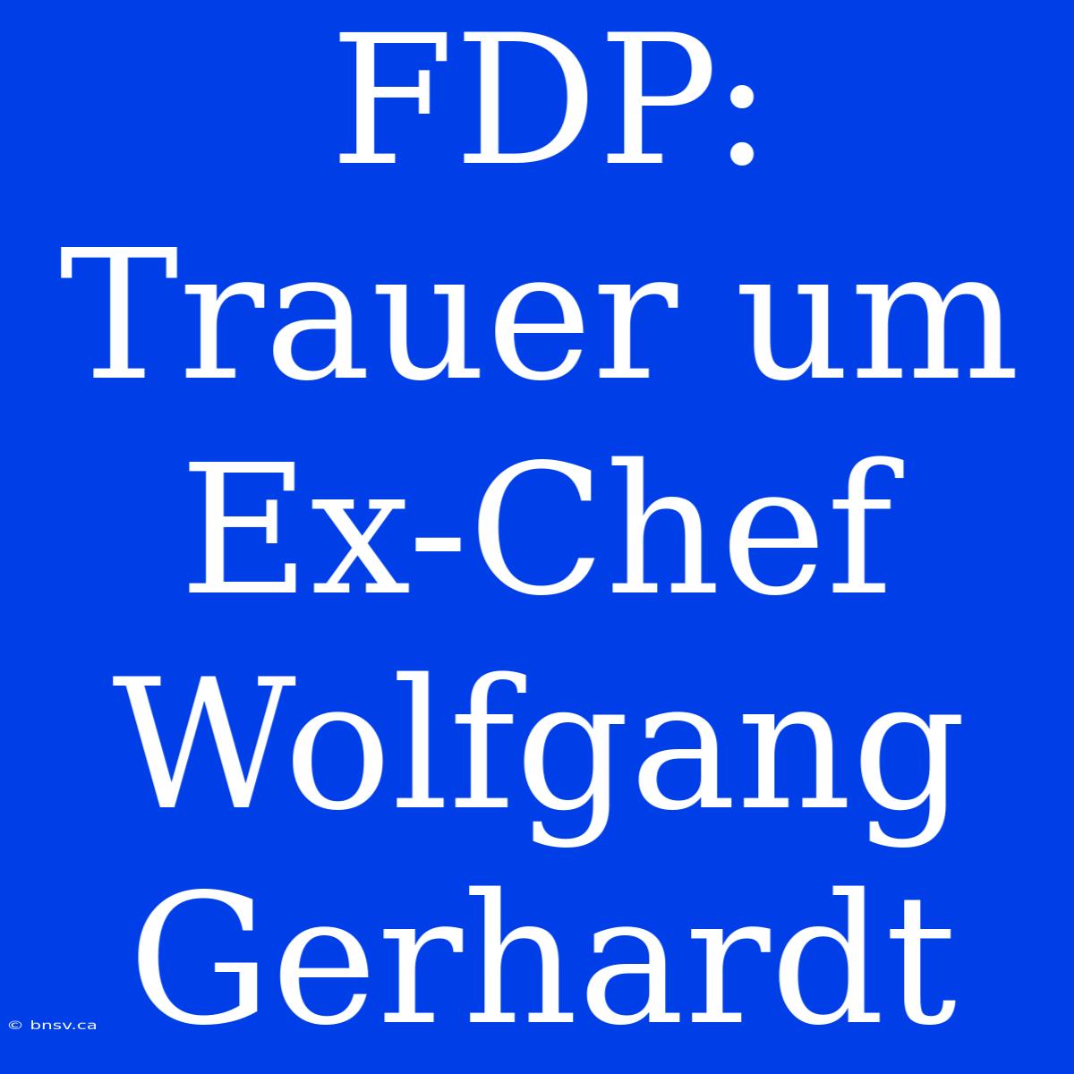 FDP: Trauer Um Ex-Chef Wolfgang Gerhardt