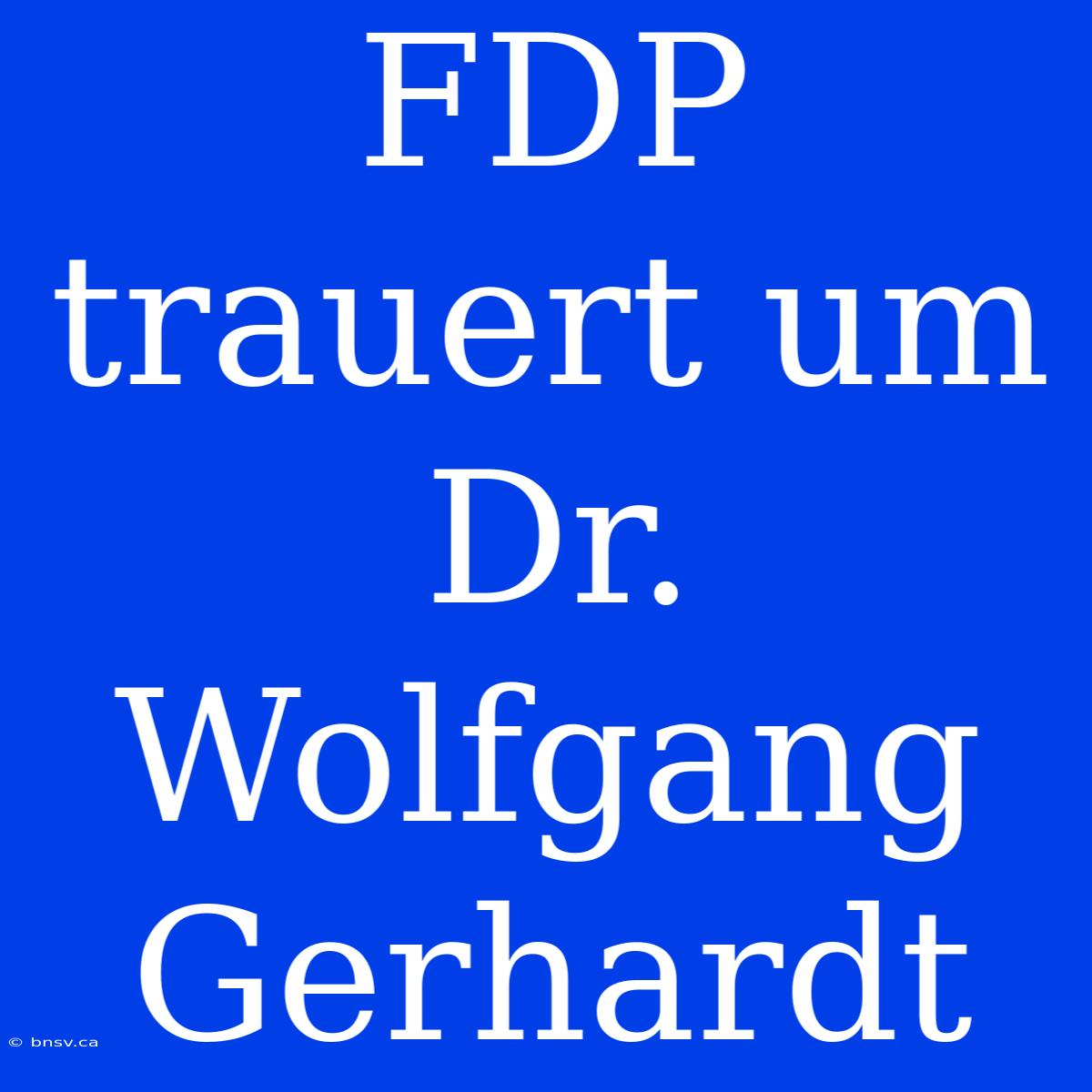 FDP Trauert Um Dr. Wolfgang Gerhardt