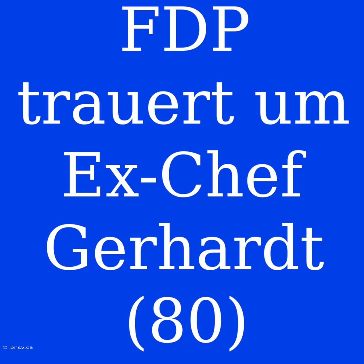 FDP Trauert Um Ex-Chef Gerhardt (80)