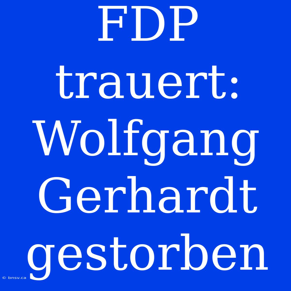 FDP Trauert: Wolfgang Gerhardt Gestorben