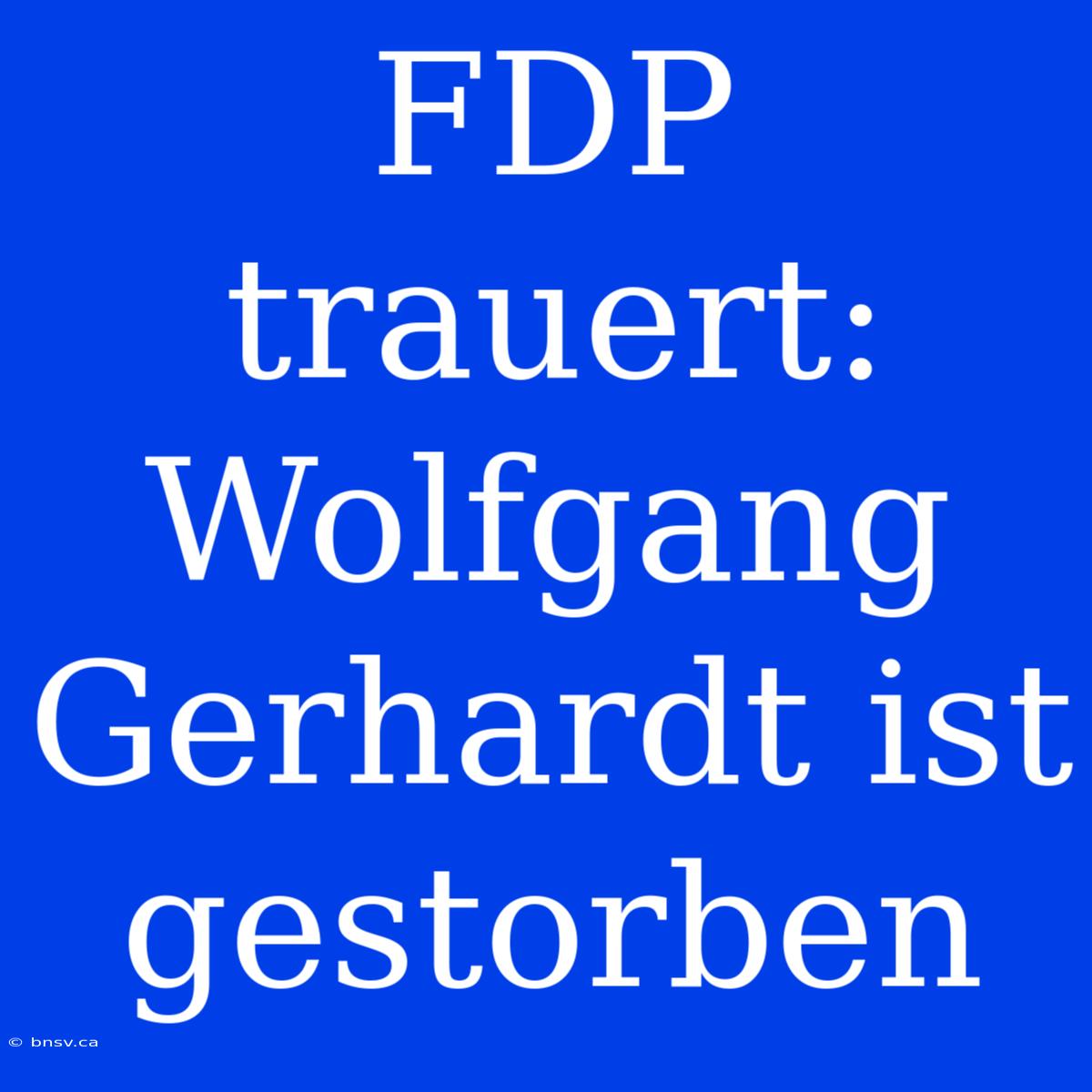 FDP Trauert: Wolfgang Gerhardt Ist Gestorben