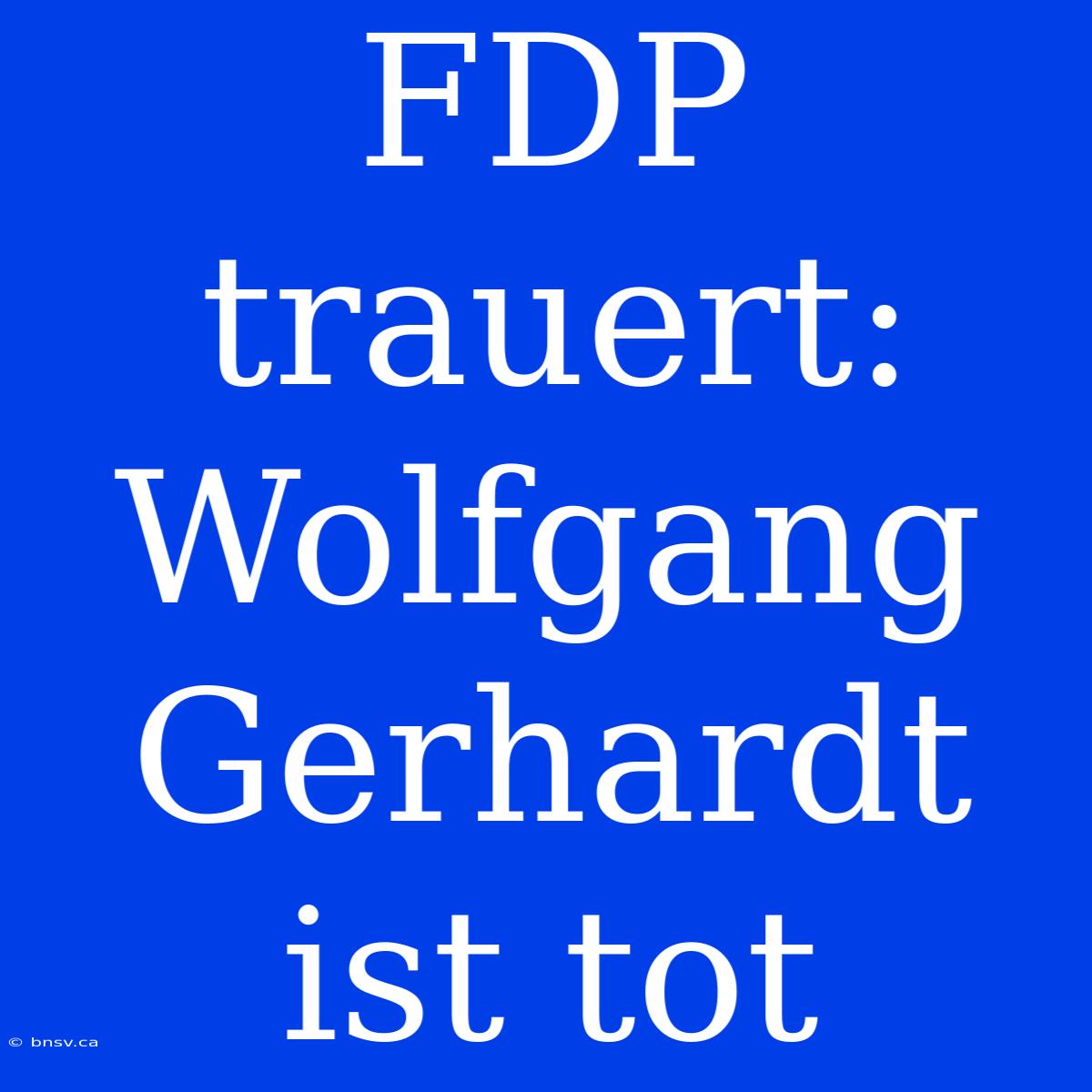 FDP Trauert: Wolfgang Gerhardt Ist Tot