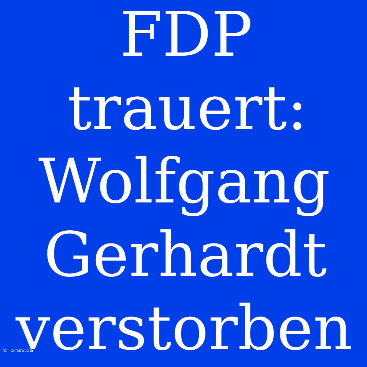 FDP Trauert: Wolfgang Gerhardt Verstorben