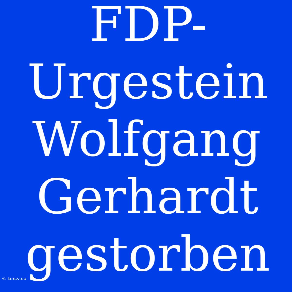 FDP-Urgestein Wolfgang Gerhardt Gestorben