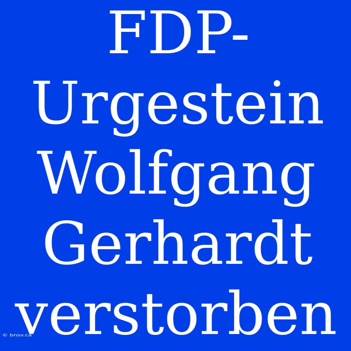 FDP-Urgestein Wolfgang Gerhardt Verstorben