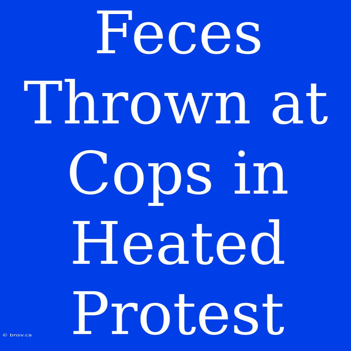 Feces Thrown At Cops In Heated Protest