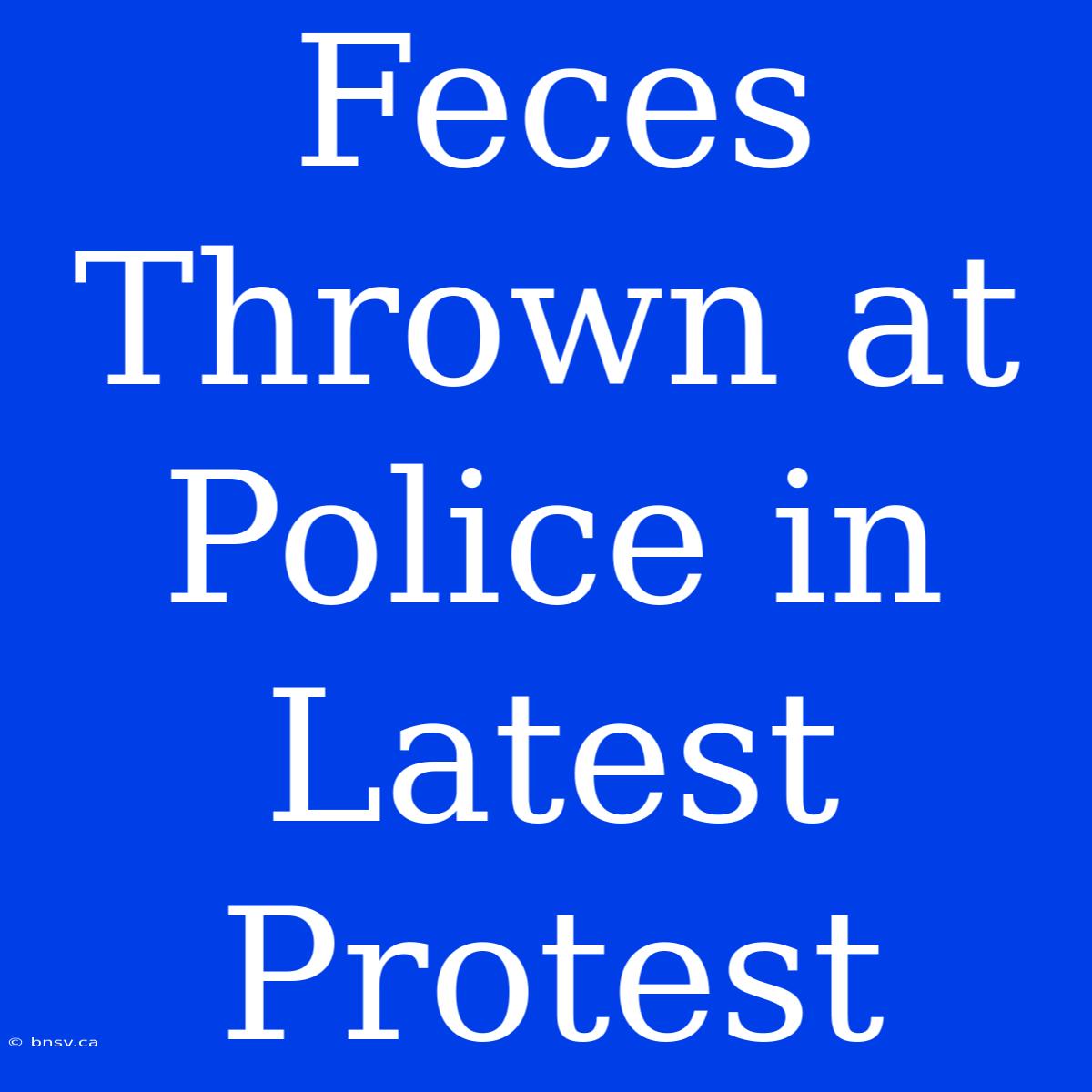 Feces Thrown At Police In Latest Protest