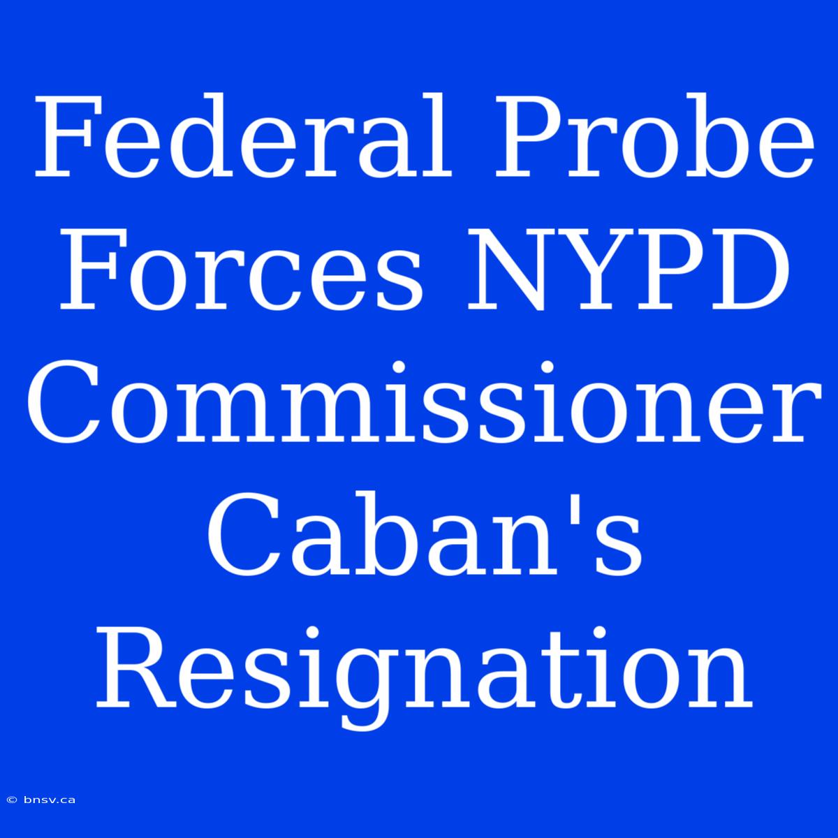 Federal Probe Forces NYPD Commissioner Caban's Resignation