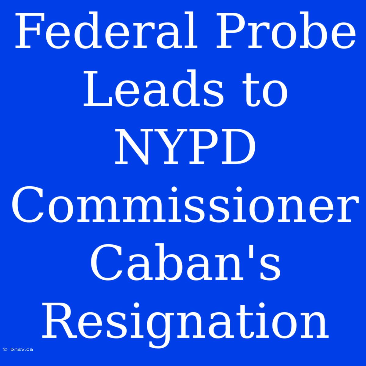 Federal Probe Leads To NYPD Commissioner Caban's Resignation