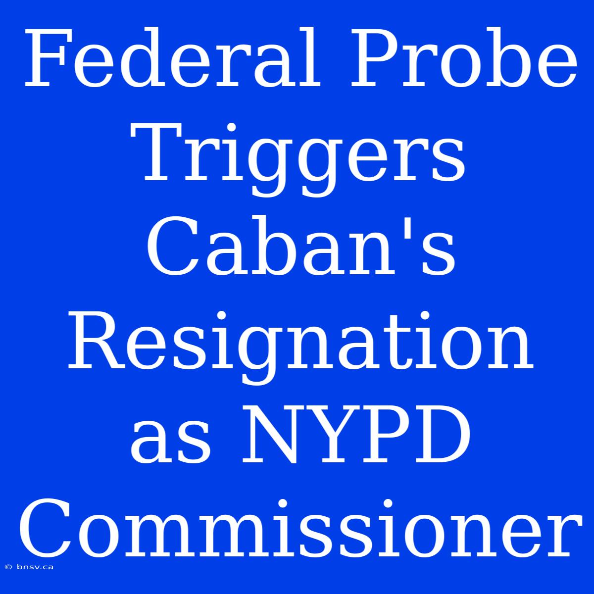 Federal Probe Triggers Caban's Resignation As NYPD Commissioner