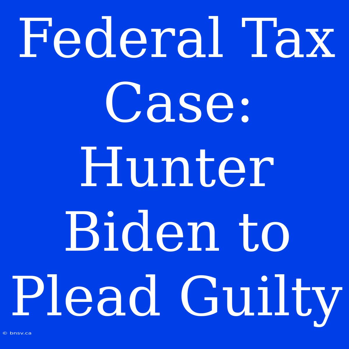 Federal Tax Case: Hunter Biden To Plead Guilty