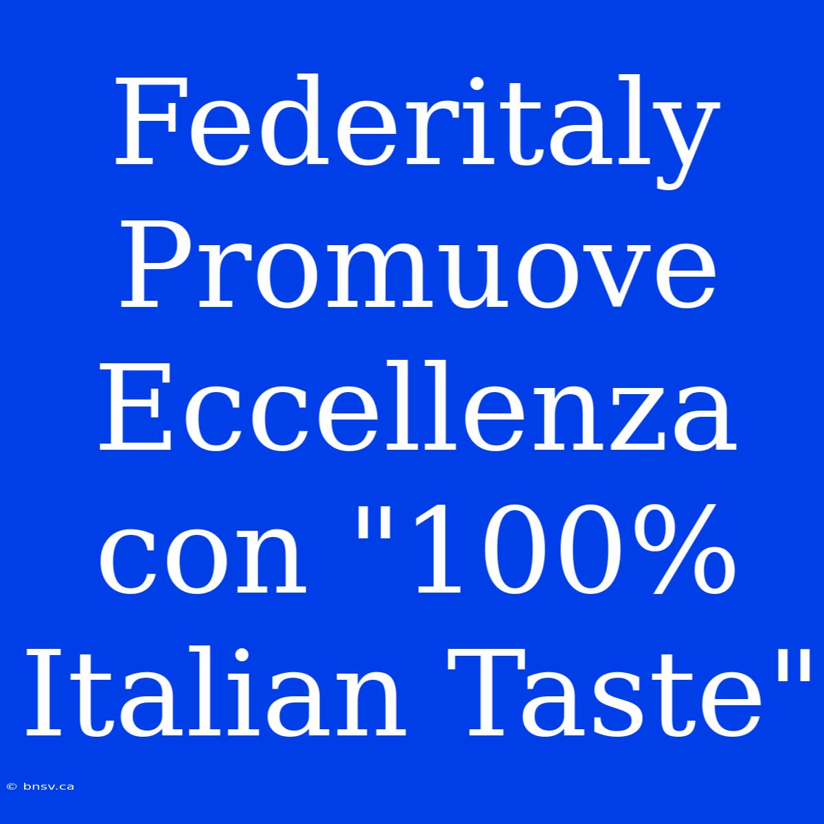 Federitaly Promuove Eccellenza Con 