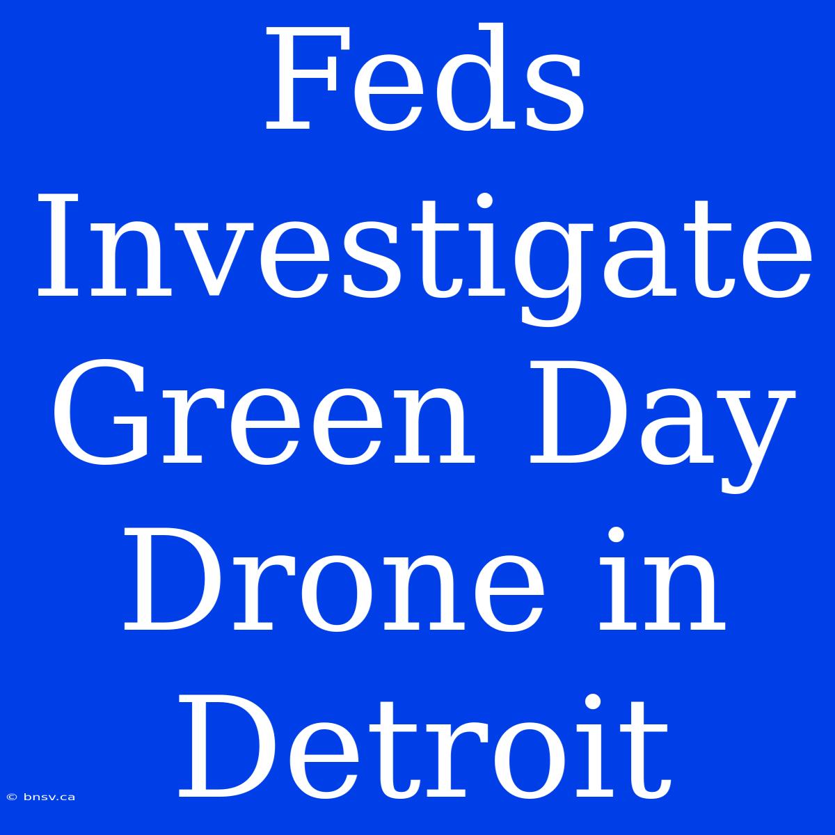 Feds Investigate Green Day Drone In Detroit