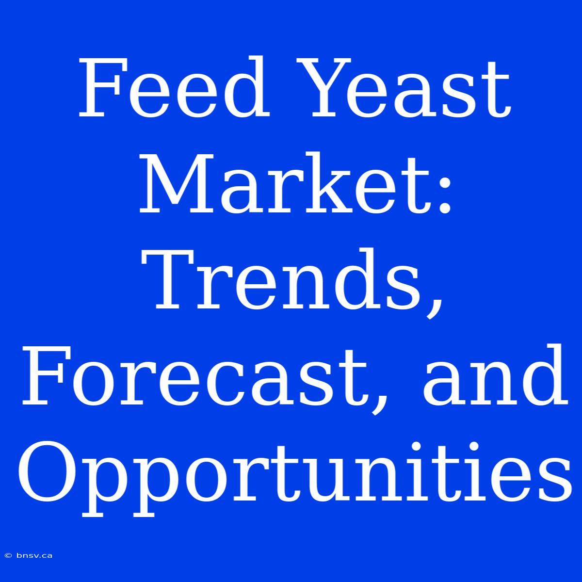 Feed Yeast Market: Trends, Forecast, And Opportunities