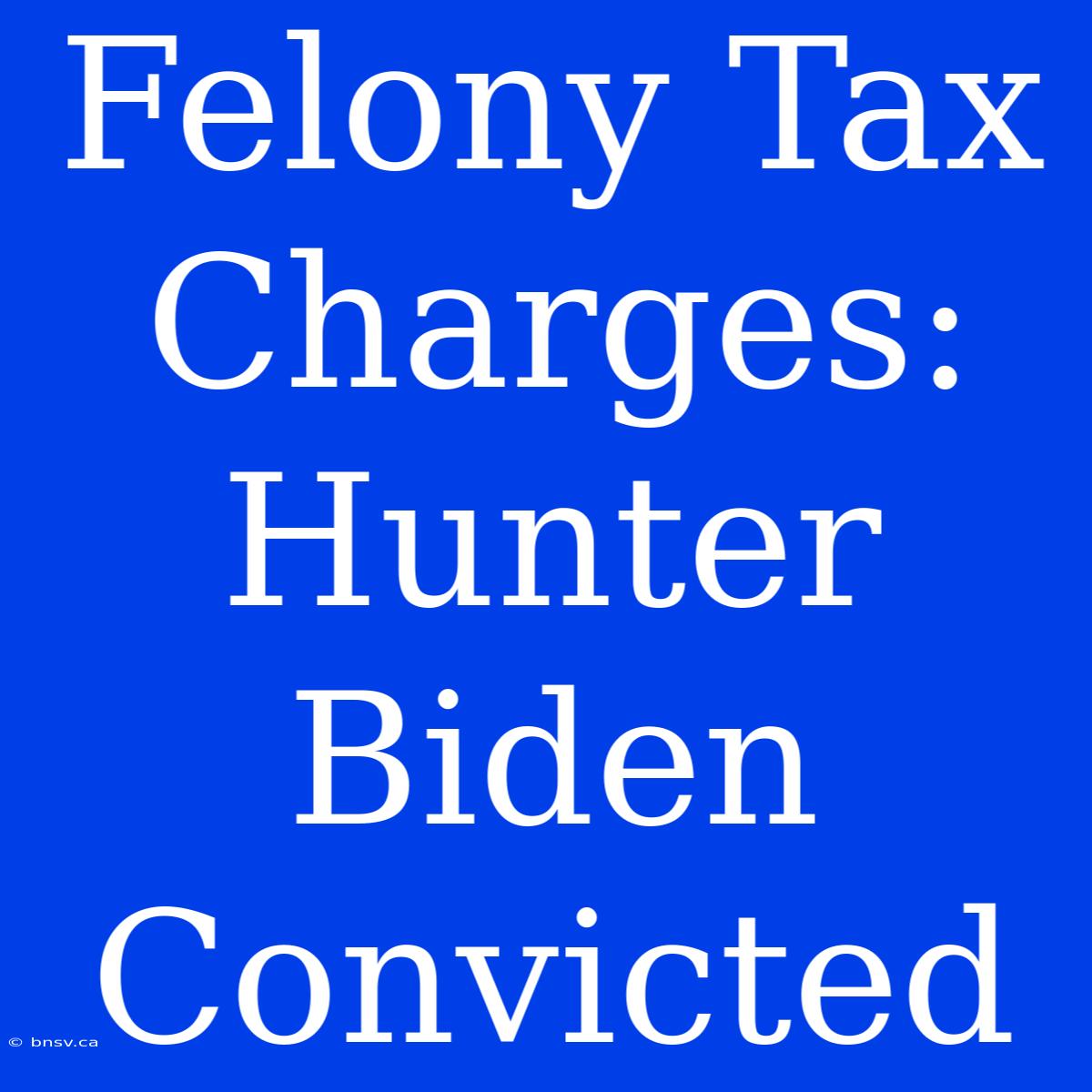 Felony Tax Charges: Hunter Biden Convicted