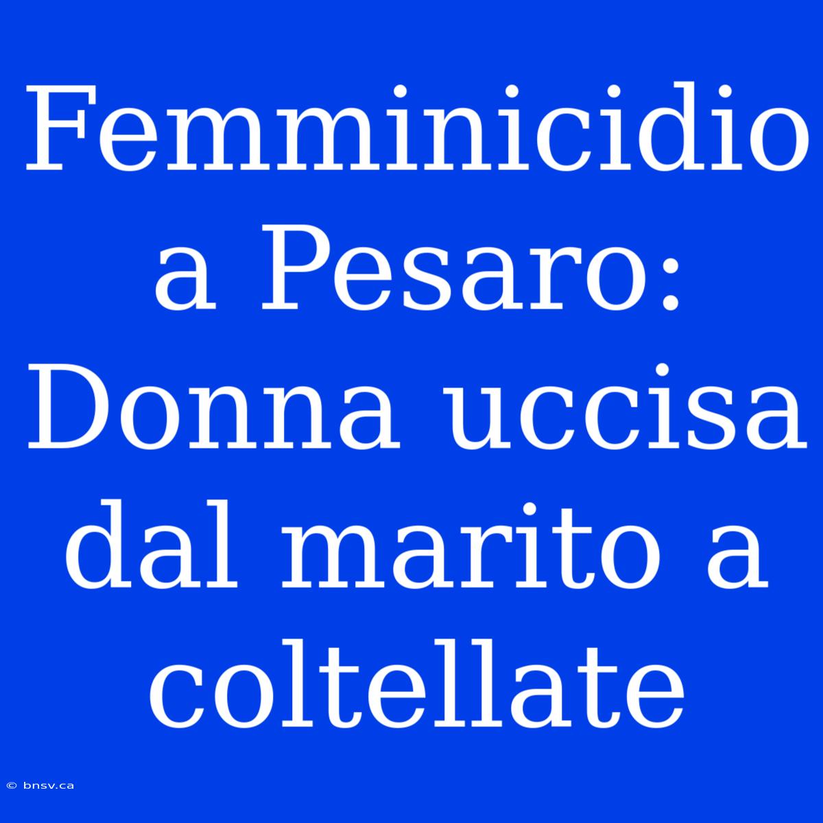 Femminicidio A Pesaro: Donna Uccisa Dal Marito A Coltellate