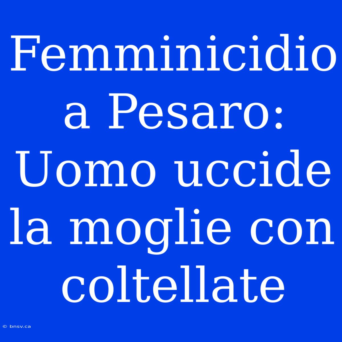 Femminicidio A Pesaro: Uomo Uccide La Moglie Con Coltellate