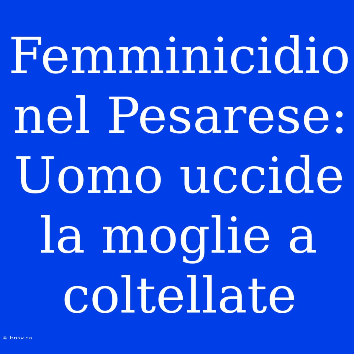 Femminicidio Nel Pesarese: Uomo Uccide La Moglie A Coltellate