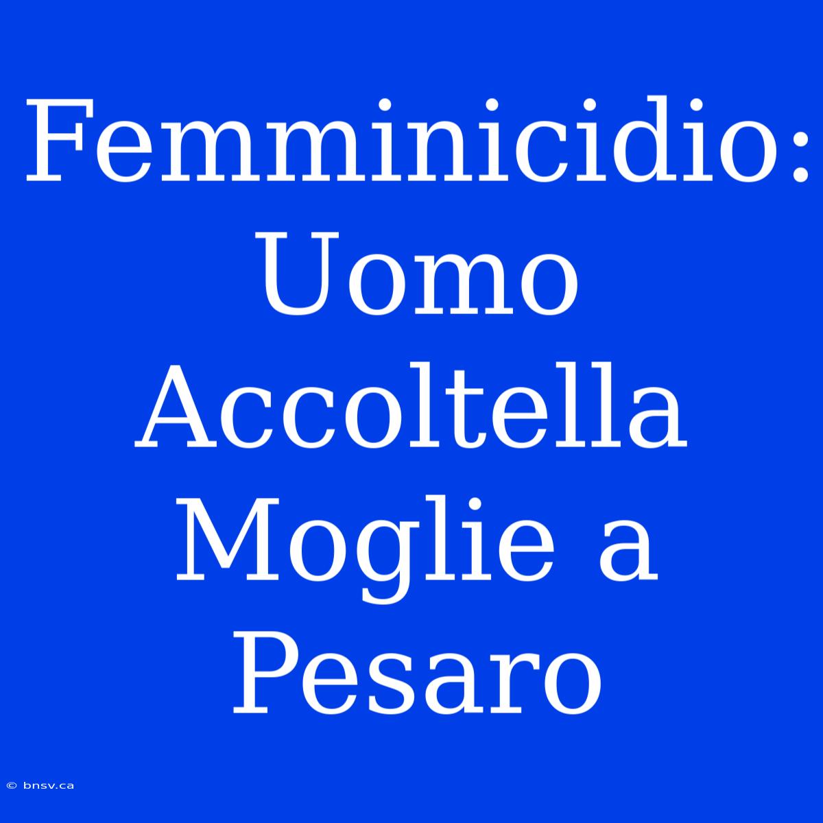 Femminicidio: Uomo Accoltella Moglie A Pesaro