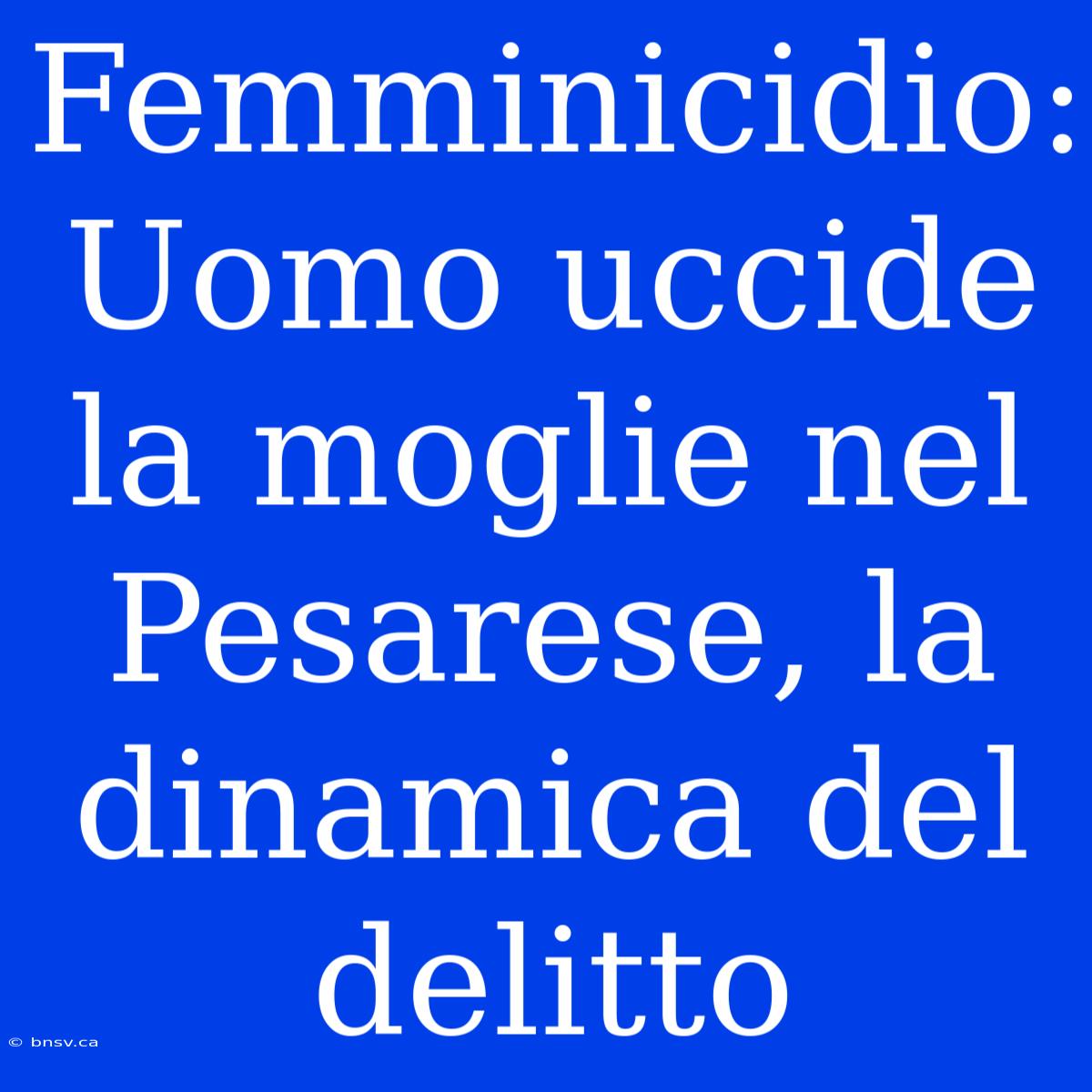 Femminicidio: Uomo Uccide La Moglie Nel Pesarese, La Dinamica Del Delitto