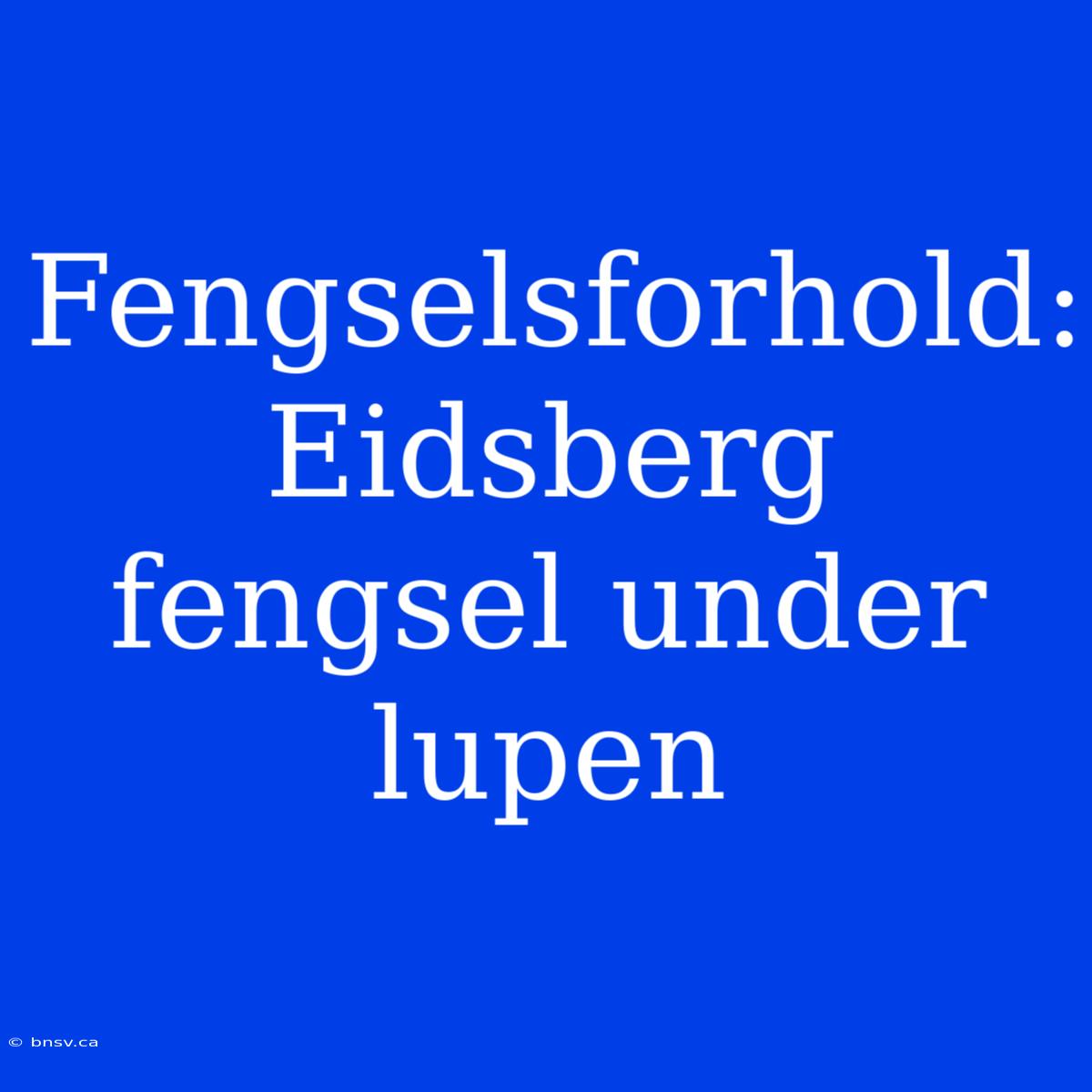 Fengselsforhold: Eidsberg Fengsel Under Lupen