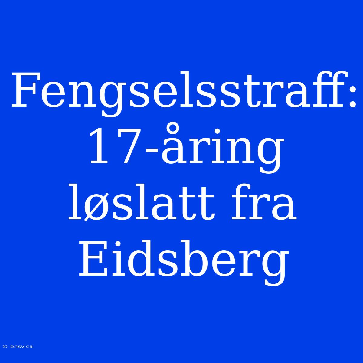 Fengselsstraff: 17-åring Løslatt Fra Eidsberg