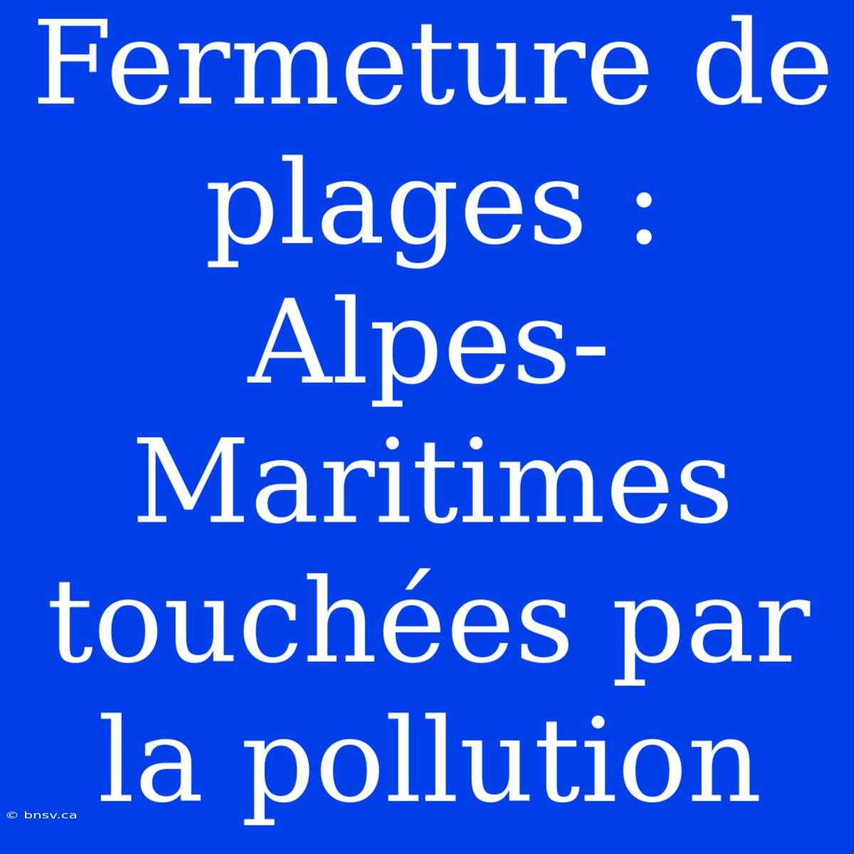 Fermeture De Plages : Alpes-Maritimes Touchées Par La Pollution