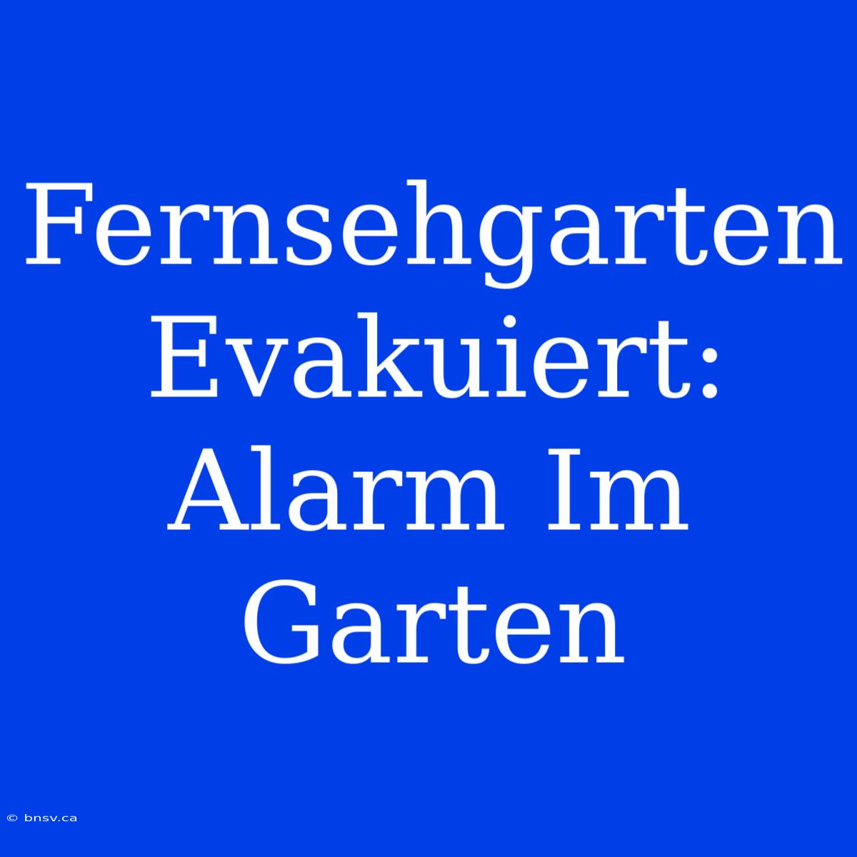 Fernsehgarten Evakuiert: Alarm Im Garten