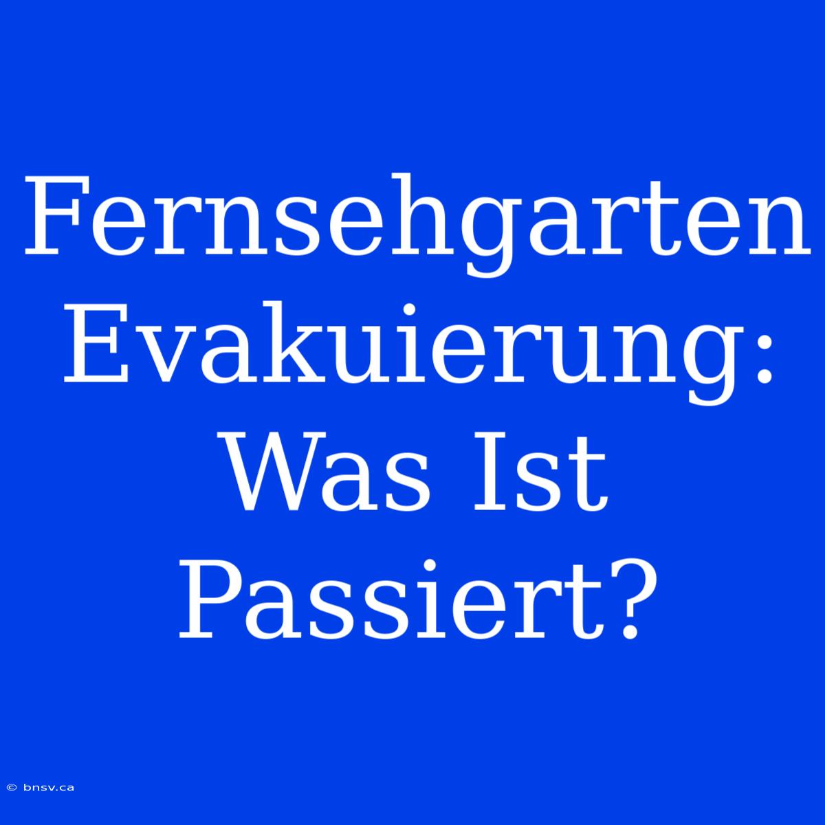 Fernsehgarten Evakuierung: Was Ist Passiert?