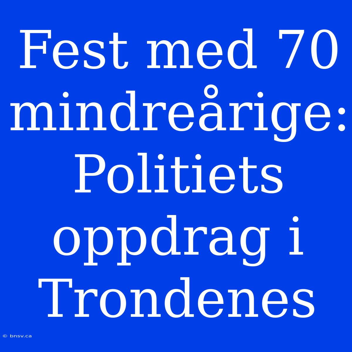 Fest Med 70 Mindreårige: Politiets Oppdrag I Trondenes