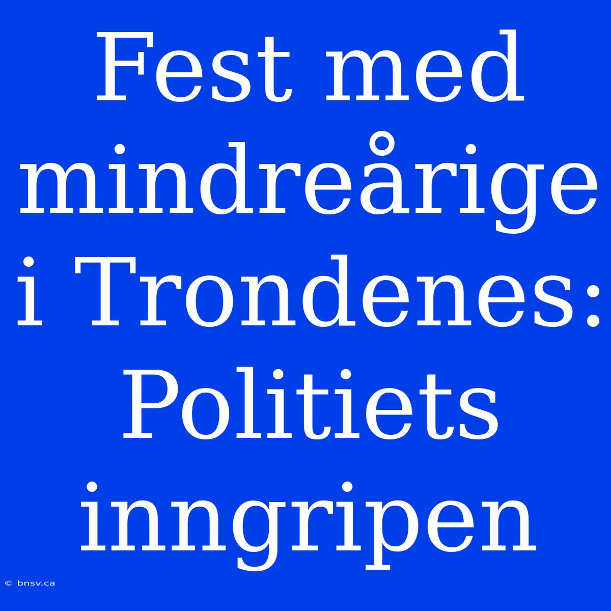 Fest Med Mindreårige I Trondenes: Politiets Inngripen