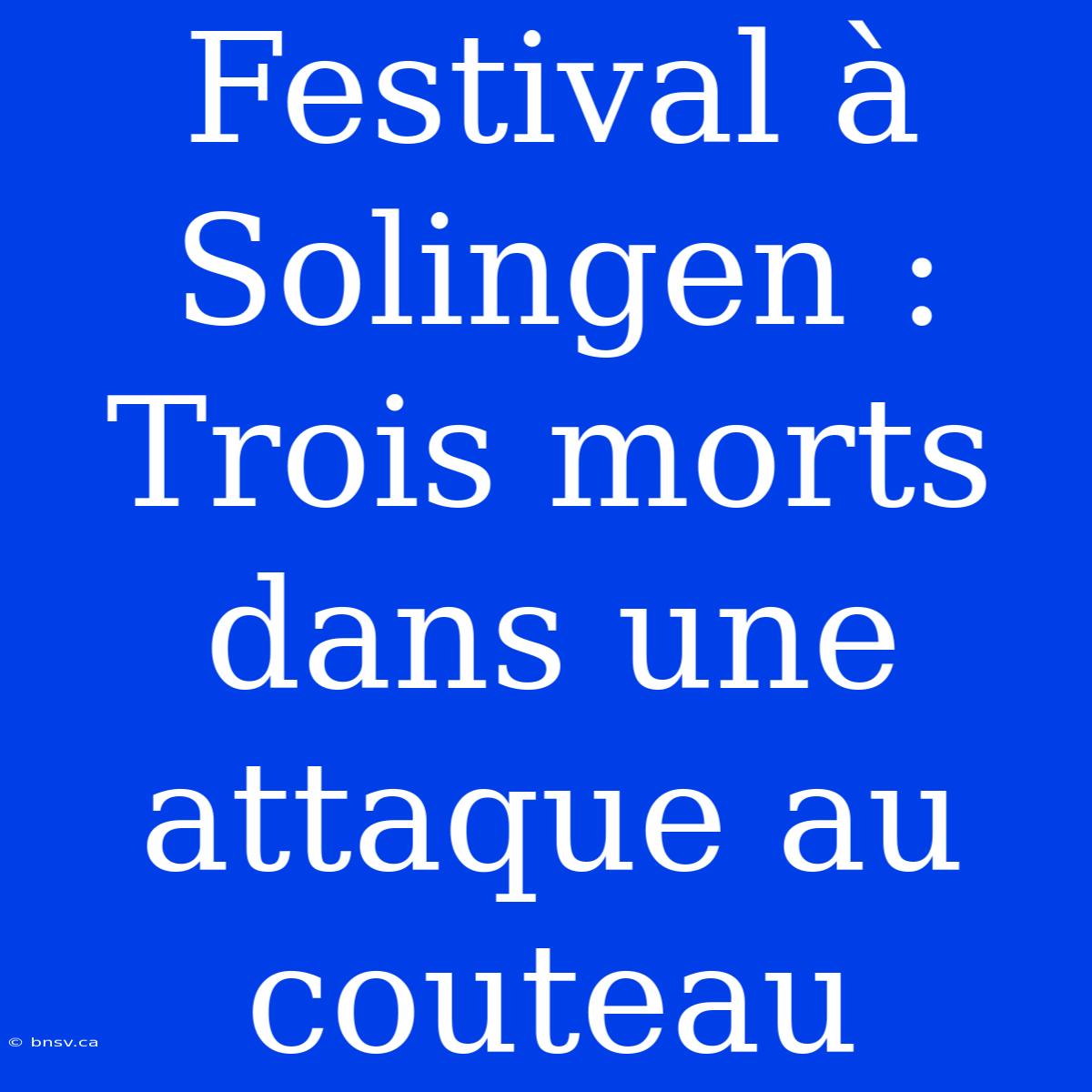 Festival À Solingen : Trois Morts Dans Une Attaque Au Couteau