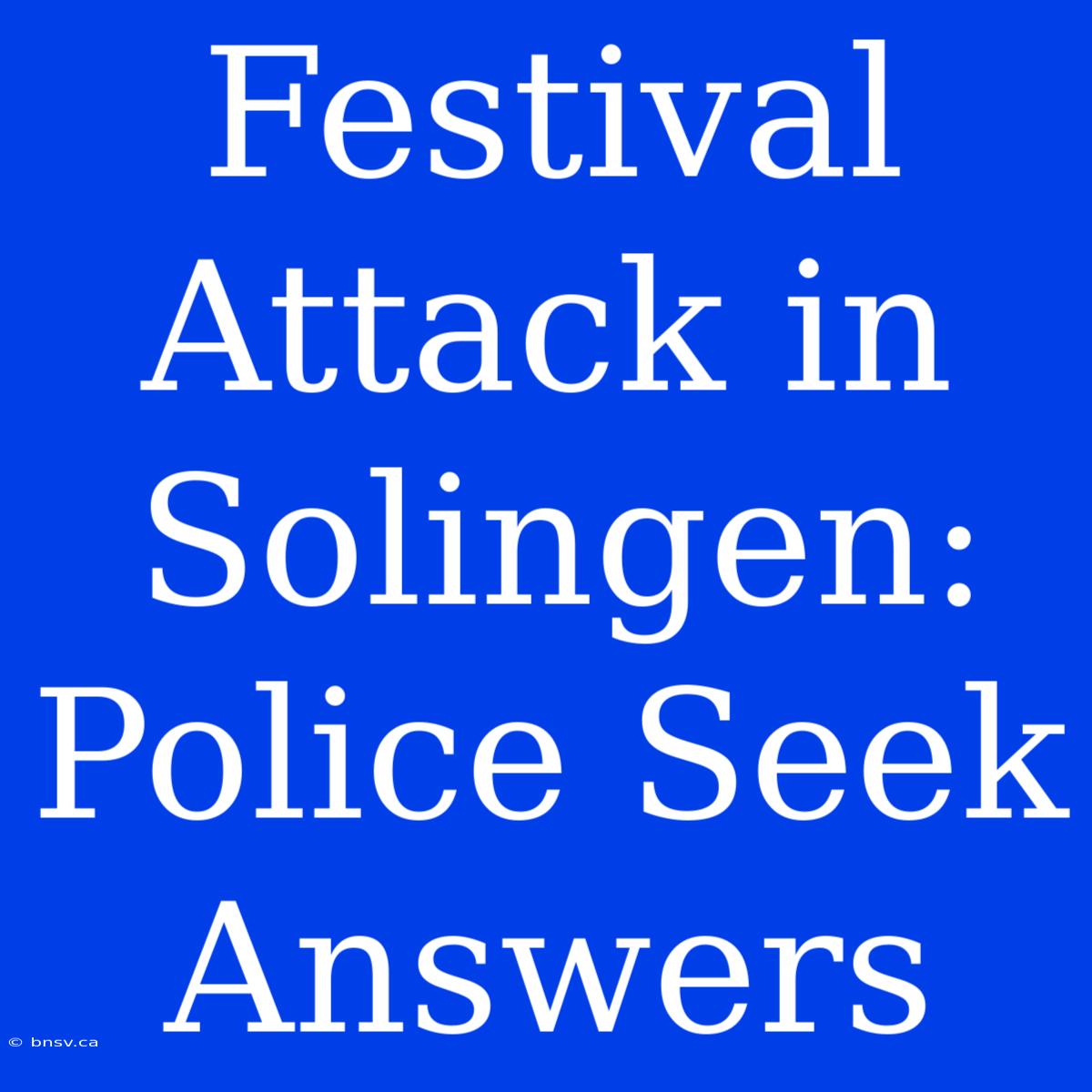 Festival Attack In Solingen: Police Seek Answers